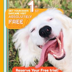 The Continental By The Doggy Port - Free 1st daycare visit! book your appointment today!