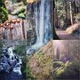 Photo of Feather Falls Trail