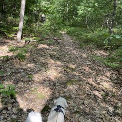 Indian River RV Resort and Campground - Their walking trail
