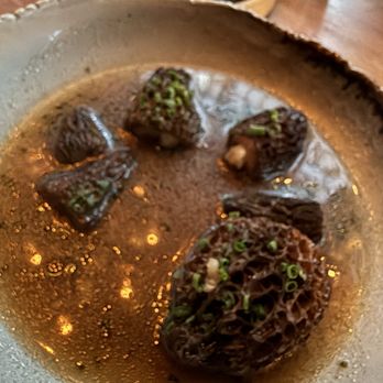 Jellyfish Crudo + Charbon - Murel mushroom - Modern European Near Me - Montreal, Quebec Jellyfish Crudo + Charbon - Murel mushroom - Modern European Near Me - Montreal, Quebec
