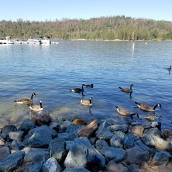 Wishon Campground