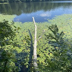 Farm Pond Park