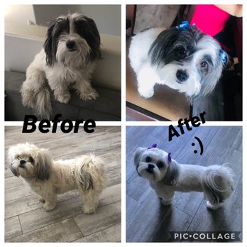 Happy Paws Mobile Grooming - Pet Groomers Near Me Happy Paws Mobile Grooming - Pet Groomers Near Me