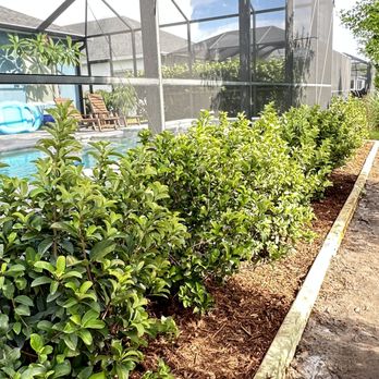 J & D Landscape Solutions - After - Tree Services Near Me J & D Landscape Solutions - After - Tree Services Near Me