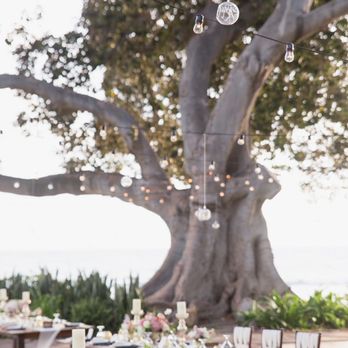 Makena Weddings - Wedding Planning Near Me - Kihei, Hawaii Makena Weddings - Wedding Planning Near Me - Kihei, Hawaii