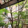 Photo of Waterfall Garden