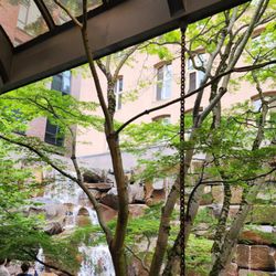 Waterfall Garden - Taking in the serenity (6/11/23)