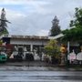 Photo of Nguyen Home and Garden Center
