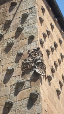 Public Library of Salamanca - Casa de las Conchas by null