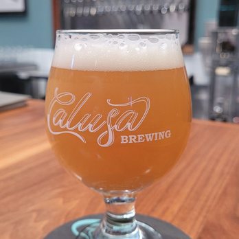 Calusa Brewing - Beer Bar Near Me - Sarasota, Florida Calusa Brewing - Beer Bar Near Me - Sarasota, Florida