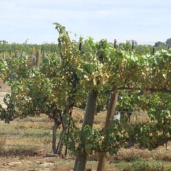 Horizon's Edge Winery