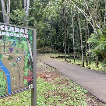 Hana Highway - Keanae Arboretum - casual walkway among a tropical forest, located right along Hana Highway. - Landmarks & Historical Buildings Near Me - Paia, Hawaii Hana Highway - Keanae Arboretum - casual walkway among a tropical forest, located right along Hana Highway. - Landmarks & Historical Buildings Near Me - Paia, Hawaii