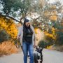 Z Dog Training Academy