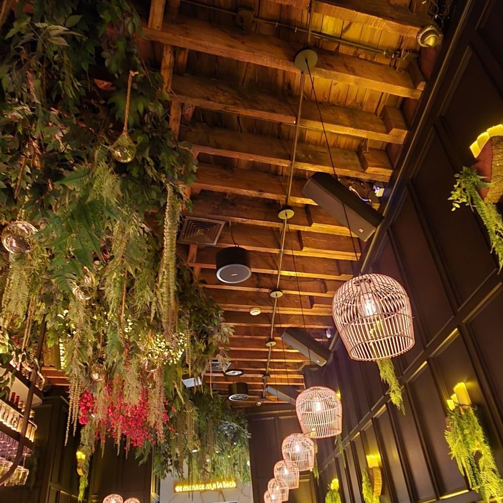Bokaguá - Asian Fusion Near Me - Bronx, New York Bokaguá - Asian Fusion Near Me - Bronx, New York