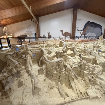 The Mammoth Site - Original dig site and fossils - Museums Near Me - Hot Springs, South Dakota The Mammoth Site - Original dig site and fossils - Museums Near Me - Hot Springs, South Dakota