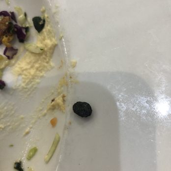 Pita Jungle - Rock in meal. It was definitely NOT a seed or olive pit (no olives in my meal and it looked like a rock) - Mediterranean Near Me - Phoenix, Arizona Pita Jungle - Rock in meal. It was definitely NOT a seed or olive pit (no olives in my meal and it looked like a rock) - Mediterranean Near Me - Phoenix, Arizona