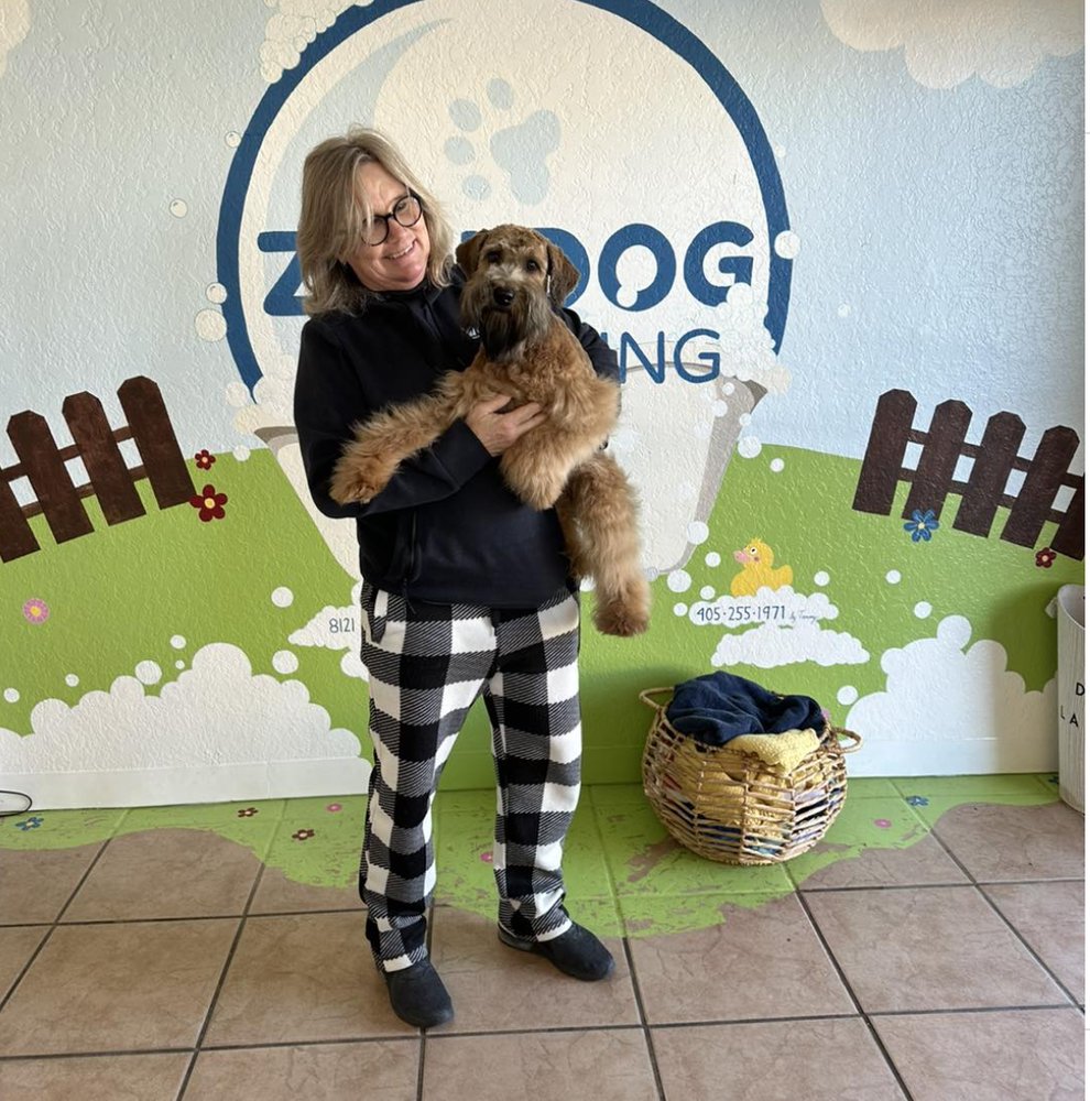 ZEN DOG GROOMING Updated April 2024 23 Photos 8121 S Western Ave