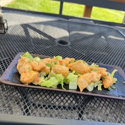 Cajun Phatty's - Chicken appetizers and catfish with potato chips,some sort of Rice dish.it was all very good!