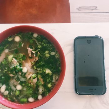 Pho Vietnam - Pho Bo Tai (Beef Noodle Soup with Round Steak) - Vietnamese Near Me - Raleigh, North Carolina Pho Vietnam - Pho Bo Tai (Beef Noodle Soup with Round Steak) - Vietnamese Near Me - Raleigh, North Carolina