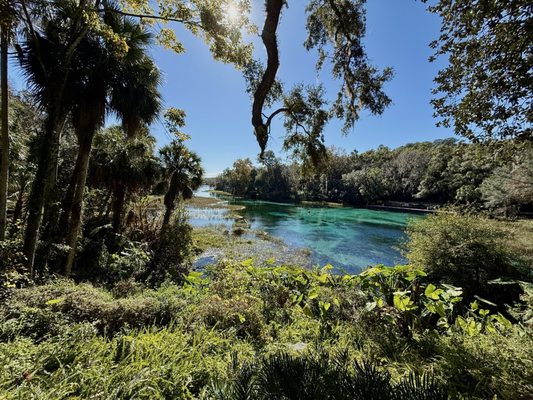 Rainbow Springs State Park by null