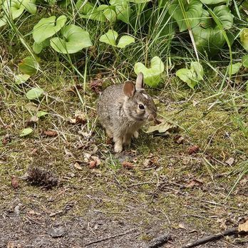 Deception Pass State Park - Community Service/Non-Profit Near Me - Oak Harbor, Washington