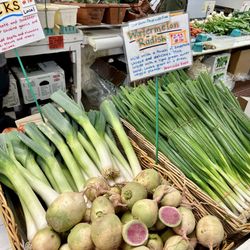 New Eastern Market - Brogue Hydroponics