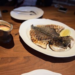 Sea Bream Sea Bream