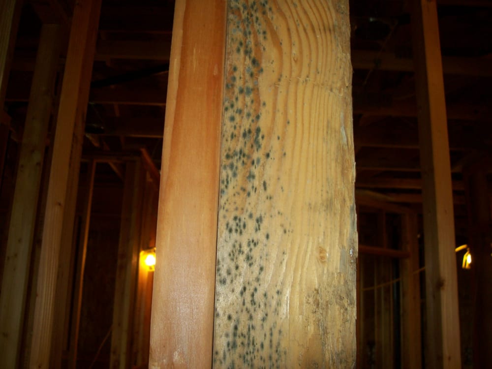 Green Way Air Solutions - mold inspector in Gladstone, OR