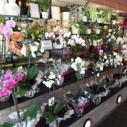 Webbs Flowers