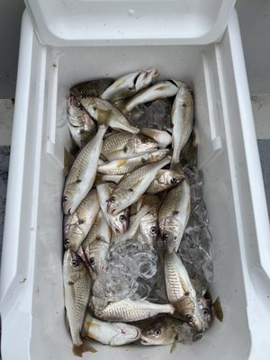 Dockside Seafood & Fishing Center by null