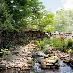 Old Mill Pottery House Cafe - Koi pond