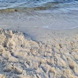 Dierhagen Strand