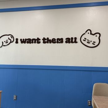 Duet Tea - Bubble Tea Near Me - Fremont, California