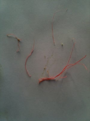 Naturewell Vegan Juice & Smoothies by null