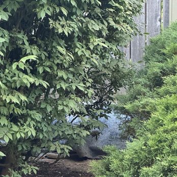 American Property Management - Homeless man sleeping in the bush outside our unit - Commercial Real Estate Near Me - Portland, Oregon American Property Management - Homeless man sleeping in the bush outside our unit - Commercial Real Estate Near Me - Portland, Oregon