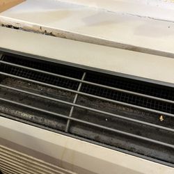Econo Lodge North - Mold mildew