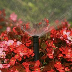 Best Landscape Services