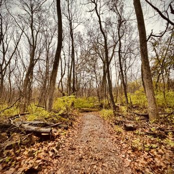 Aullwood Audubon - Trail - Parks Near Me - Dayton, Ohio Aullwood Audubon - Trail - Parks Near Me - Dayton, Ohio