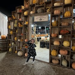 Gallagher's Pumpkins & Christmas Trees - Fall Fun for everyone !