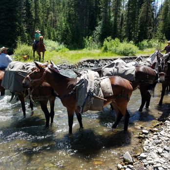 Boulder Basin Outfitters - Stopping for a drink of cold water! - Fishing Near Me - Cody, Wyoming