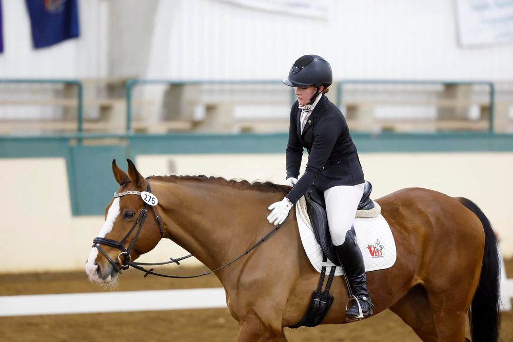 Stepic Equine - equestrian in Newbury, OH