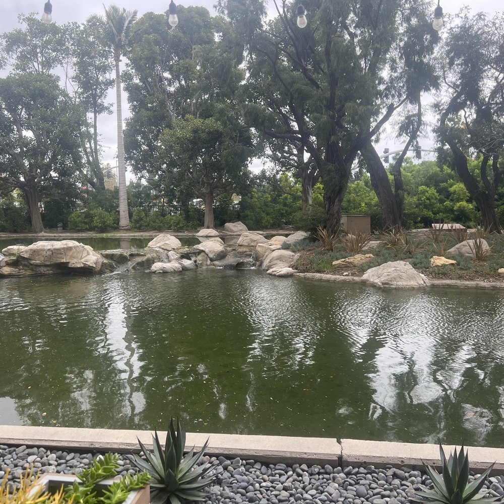 Hotel Fera Anaheim, a DoubleTree by Hilton - Hotels Near Me - Orange, California Hotel Fera Anaheim, a DoubleTree by Hilton - Hotels Near Me - Orange, California