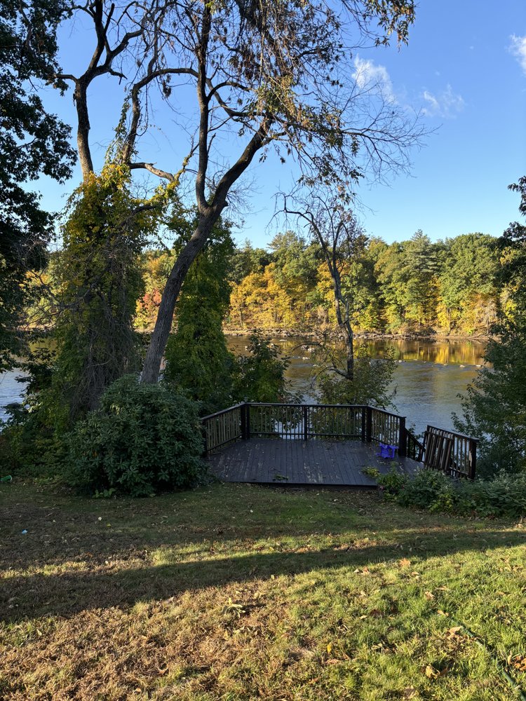 Tree by Us - tree service in Manchester, NH