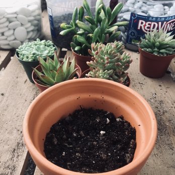 OC Succulents - Before - Nurseries & Gardening Near Me - Irvine, California OC Succulents - Before - Nurseries & Gardening Near Me - Irvine, California