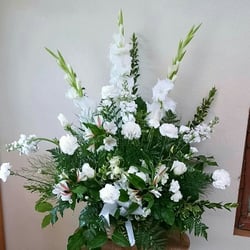 The Flowering Jade