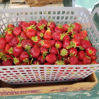 Mt Olympus Farm - Farmers Market Near Me - Ruther Glen, Virginia Mt Olympus Farm - Farmers Market Near Me - Ruther Glen, Virginia