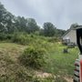 Photo of Artistic Lawn Care Tree Solutions