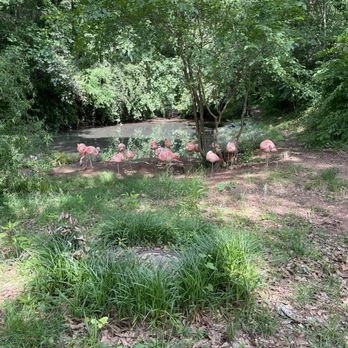 Greenville Zoo - Zoos Near Me - Greenville, South Carolina