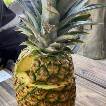 By Brothers - Fruits & Veggies Near Me - Miami, Florida By Brothers - Fruits & Veggies Near Me - Miami, Florida