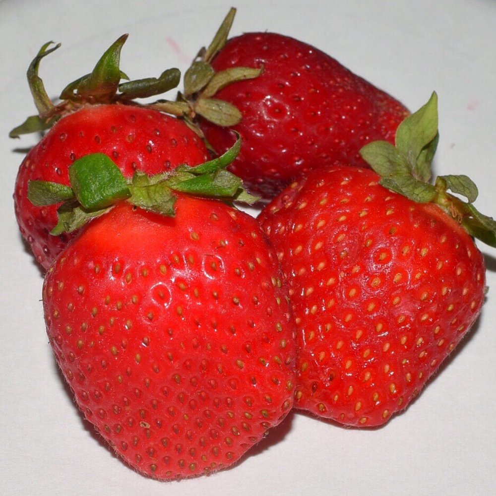 Strader Farms - Fresh Picked Strawberries: Strader Farms - Farmers Market Near Me - Browns Summit, North Carolina